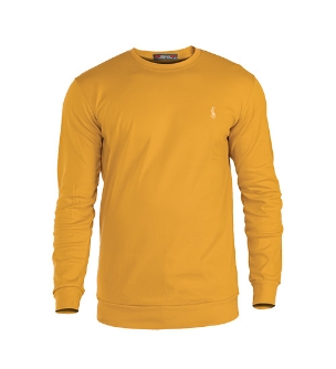 بلوز مردانه Polo مدل 41043